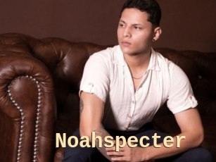 Noahspecter