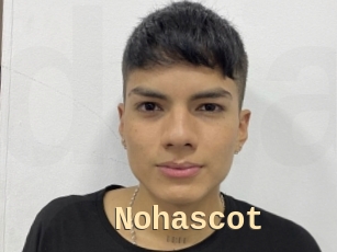 Nohascot