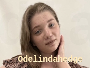 Odelindahedge