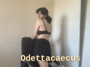 Odettacaecus