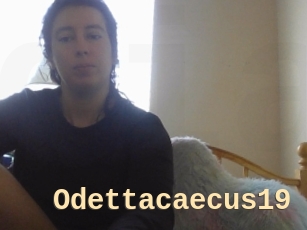 Odettacaecus19