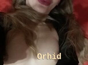 Orhid