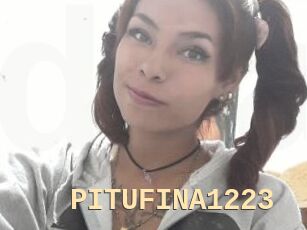 PITUFINA1223