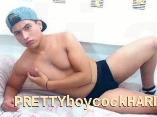 PRETTYboycockHARD