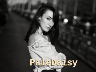 PaleDaisy