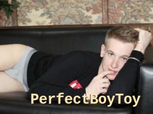 PerfectBoyToy