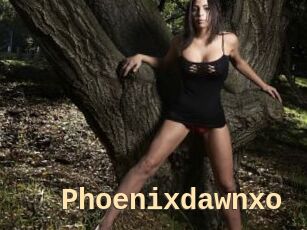 Phoenixdawnxo