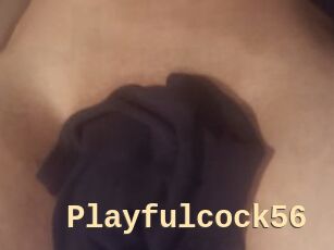 Playfulcock56