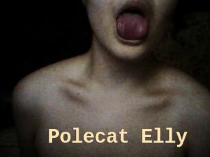 Polecat_Elly