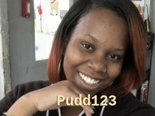 Pudd123