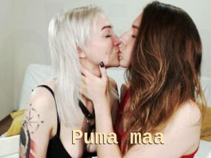 Puma_maa