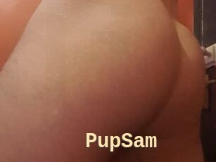 PupSam