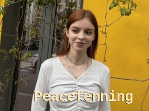 Peacefenning