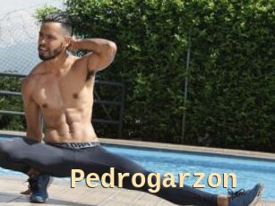 Pedrogarzon