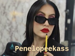 Penelopeekass