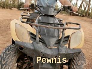 Pewnis