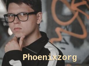 Phoenixzorg