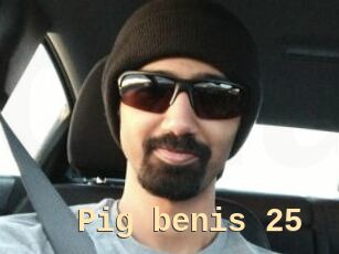 Pig_benis_25