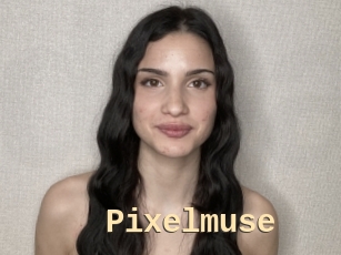 Pixelmuse