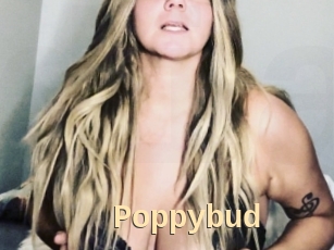 Poppybud