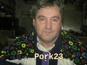 Pork23