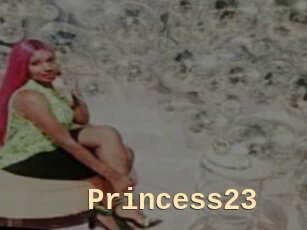 Princess23