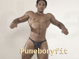 Pumebonyfit