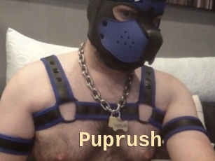 Puprush