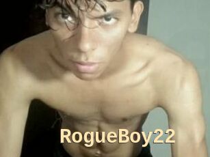 RogueBoy22