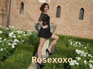 Rosexoxo