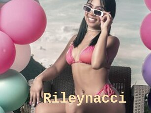 Rileynacci