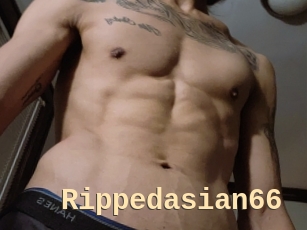 Rippedasian66