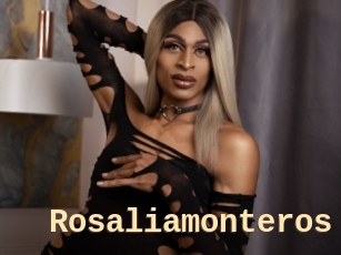 Rosaliamonteros