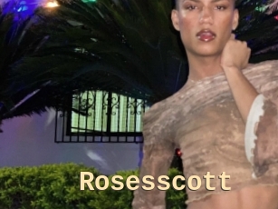 Rosesscott