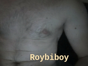 Roybiboy