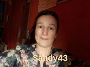 Sandy43