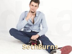 SethBurns