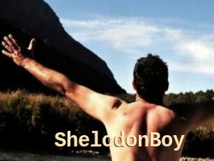 ShelodonBoy