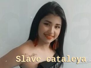 Slave_cataleya