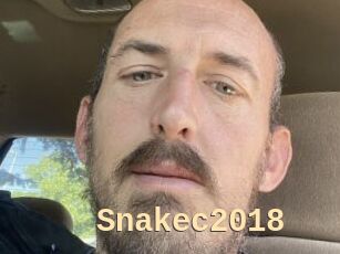 Snakec2018