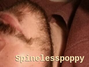 Spinelesspoppy