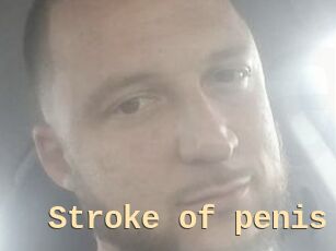 Stroke_of_penis