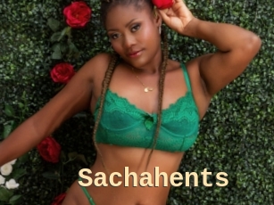 Sachahents