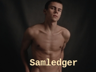 Samledger