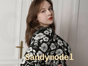 Sandymodel