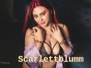 Scarlettblumm