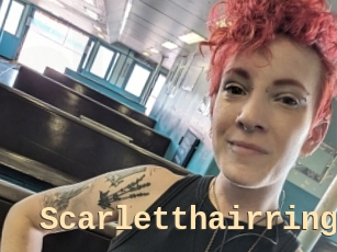 Scarletthairring