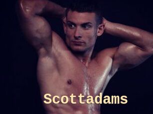 Scottadams