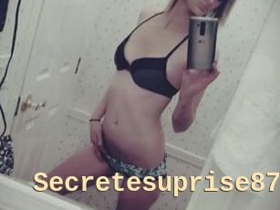 Secretesuprise87