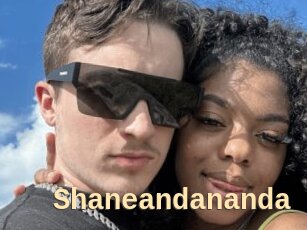 Shaneandananda